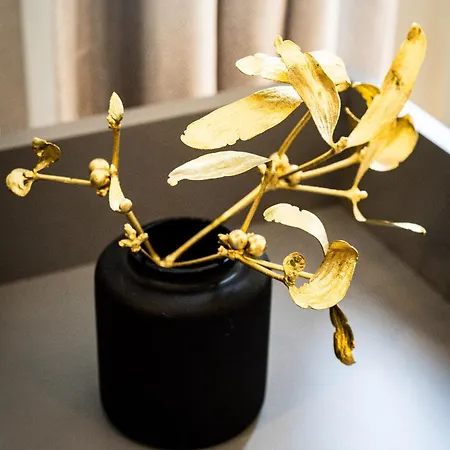 Black Diamond Apartment *