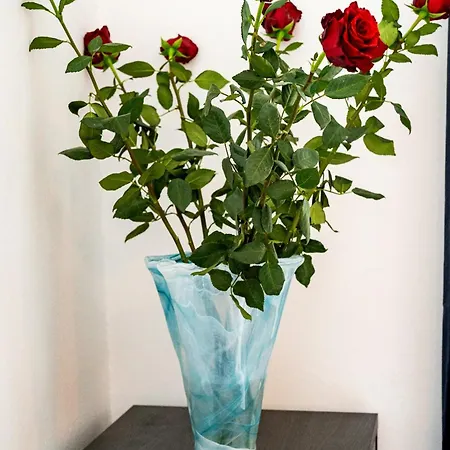 Appartamento Black Diamond *