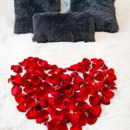 Apartment Black Diamond Prague